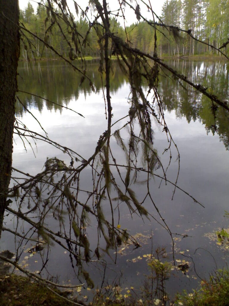 Vuosikokouksessa päätettyä – Kevan hallitus sai luottamuksen ja jatkaa samalla kokoonpanolla - Lue lisää